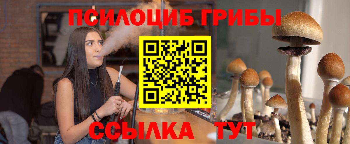 Псилоцибиновые грибы прущие грибы  Галлюциногенные грибы Cubensis  купить  цена  Бор  Вход с VPN 